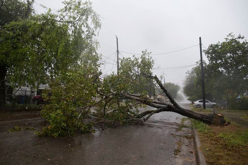 Hurricane Harvey, Hurricane, Harvey, Hurricane Harvey pics, Hurricane Harvey news, Hurricane Harvey in texas, Hurricane Harvey strengthens to Category 2 storm, natural disaster, see pics, latest pics