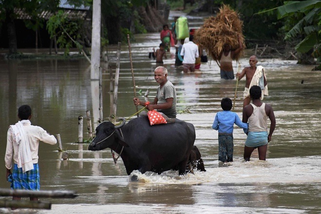 bihar floods, bihar flood pics, bihar floods pic, bihar flood images, bihar flood situation, bihar flood report