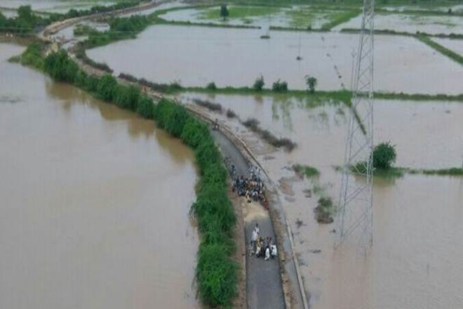 Gujarat flood, flood, farmers