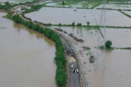 Gujarat flood, flood, farmers Gujarat flood, flood, farmers