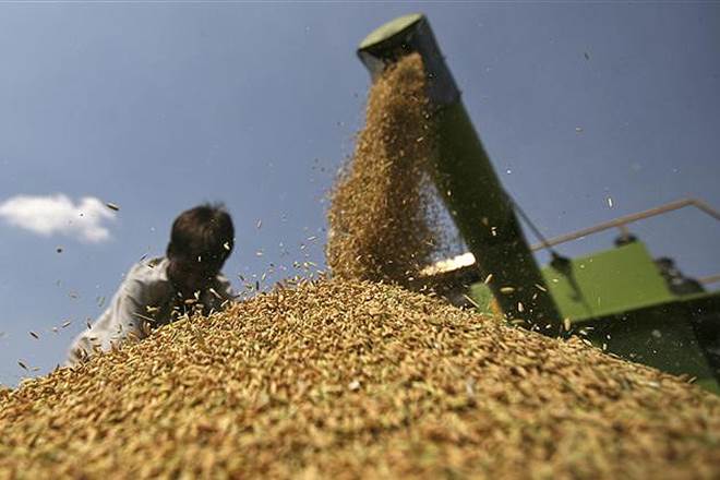 food grain, subsidies pilferage, rising food subsidy budget, direct benefit transfer, DBT, public distribution system