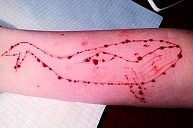 Blue Whale Challenge, Blue Whale Challenge india, Blue Whale Challenge ban, centre bans Blue Whale Challenge, government bans Blue Whale Challenge, govt bans Blue Whale Challenge, Blue Whale Challenge cases in india