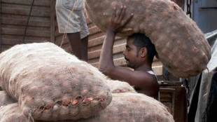 onion prices, stock limits onions, essential commodities, all India average retail price, onion price, price of onion india, onion india