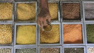 pulses buffer stock, pulses buffer stock india, india pulses buffer stock, pulses india, pulses stock, pulses stock india
