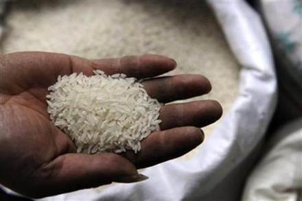 Non-basmati rice shipments, rice shipment, rice production in india, india rice production, india rice export, rice export in india Non-basmati rice shipments, rice shipment, rice production in india, india rice production, india rice export, rice export in india