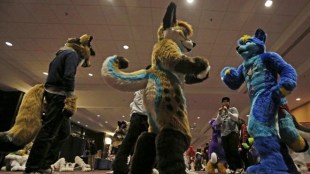 IPO, Canadian, hint, tech stock, landscape gardens, Midwestern vintage, Midwestern vintage stores, ugliest Christmas sweaters