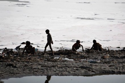 Yamuna, Yamuna pollution, Yamuna delhi, Yamuna up, Yamuna uttar pradesh, Yamuna, yamuna pollution, yamuna high court, India news latest news Yamuna, Yamuna pollution, Yamuna delhi, Yamuna up, Yamuna uttar pradesh, Yamuna, yamuna pollution, yamuna high court, India news latest news