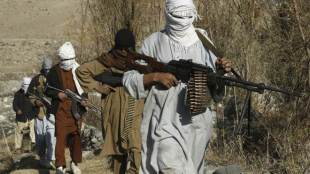 aghanistan news, afghanistan terrorism, alqaeda, pakistan news