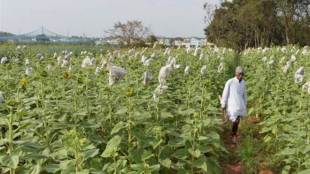 Agri Udaan, Agri start-ups, NAARM, agri value chain