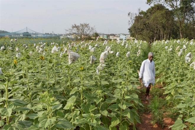 Agri Udaan, Agri start-ups, NAARM, agri value chain Agri Udaan, Agri start-ups, NAARM, agri value chain