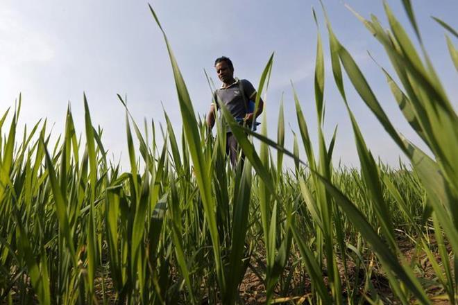Agriculture exports, agricultural sector, agricultural production, Crop Care Federation, CCFI, Nitin Gadkari