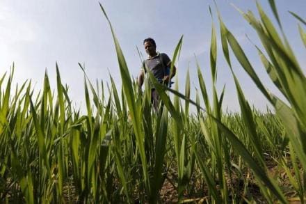Agriculture exports, agricultural sector, agricultural production, Crop Care Federation, CCFI, Nitin Gadkari