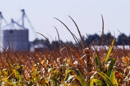 National Agriculture Market, enam, online National Agriculture Market, agricultural market, agricultural market india, india agricultural market, agricultural market reform