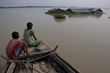 agricultural sector, West Bengal flood,Coochbehar, Malda, Uttar Dinajpur, Dakshin Dinajpur, Alipurduar, flood in bengal, relief camps