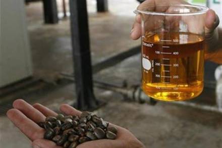 biofuels, biofuels news, biofuels ministry, biofuels india, Ministry of New and Renewable Energy, oil ministry, oil ministry india, renewable energy india, ram nath kovind