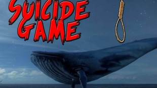 Blue Whale Game, Blue Whale Challange, West Bengal, CID, Google, Facebook, Whatsapp, Instagram, Microsoft, Yahoo