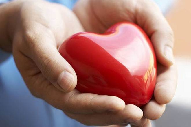 Merck & Co Inc, LDL cholesterol, CETP inhibitors, heart risk, heart risk cholestrol, European Society of Cardiology Congress