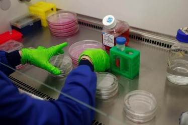 cancer growth drug research, anti cancer agent therapeutic pi3k, control gene anti cancer drug