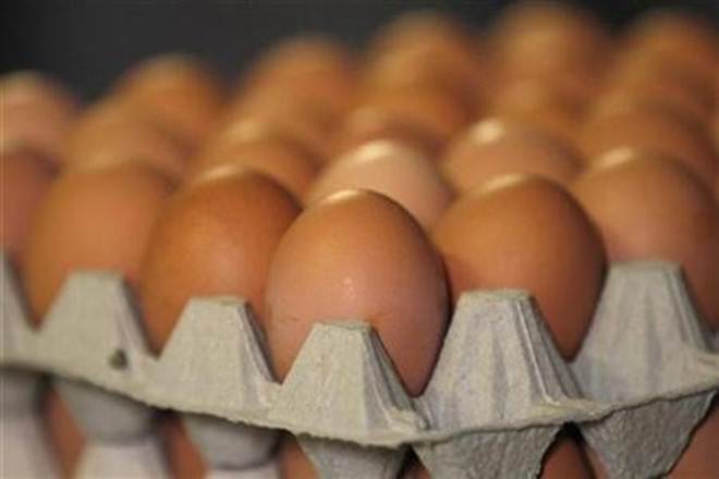 french eggs contaminated, french eggs insecticide infected, dutch eggs france, fipronil chemical france eggs french eggs contaminated, french eggs insecticide infected, dutch eggs france, fipronil chemical france eggs