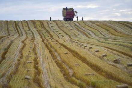 farm technologies, farm technologies india, farm technologies china, innovative farm technologies, india china farm technologies, us farm technologies, farm technology india, farm technology china farm technologies, farm technologies india, farm technologies china, innovative farm technologies, india china farm technologies, us farm technologies, farm technology india, farm technology china