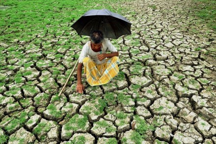 farmers income, Doubling farmers, farmers income by 2022,  Independence Day