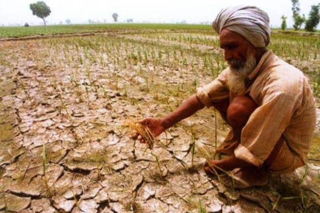 farmer subsidy medicinal plants, medicinal plants india subsidy, lok sabha medicinal plants subsidy, ayush mission shripad yesso naik