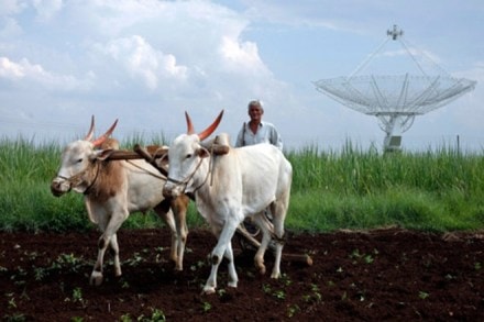 mid year economic survey, economic survey, farming problems, farming issues, farmers crisis, farming crisis, farming hurdles, agriculture production, agro produce, farming techniques, farming policy, farming practices, genetically modified crops, healthier crops