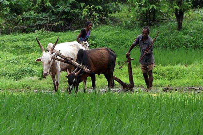 narendra modi, narendra modi news, fertilisers, fertiliser reforms, economy, india economy, industry, india industry, financial express