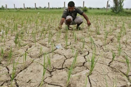 India Meteorological Department, Monsoon season, Rainfall deficit, crops, rice, cotton, oil seeds India Meteorological Department, Monsoon season, Rainfall deficit, crops, rice, cotton, oil seeds
