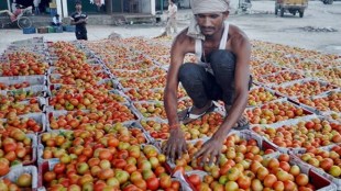 Onion, Tomatoes, Policy makers, India, inflation, agriculture, Tomatoes: The new enemy in India's fight against inflation