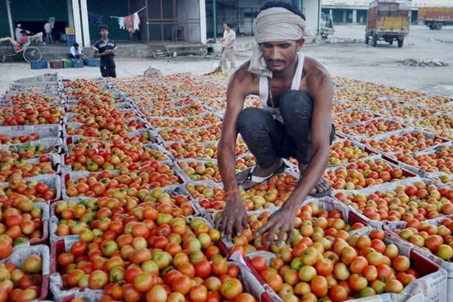 Onion, Tomatoes, Policy makers, India, inflation, agriculture, Tomatoes: The new enemy in India's fight against inflation