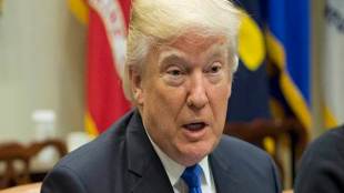 OSCE media freedom watchdog, US president, Donald Trump, democracy, journalists