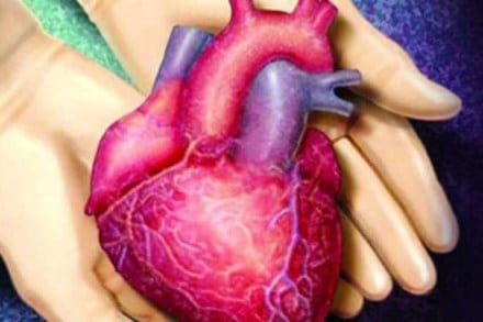 Self-healing cells, repair damaged hearts, heart cells, trigger heart cells, groundbreaking treatments, heart treatment, heart failure, cardiac diseases