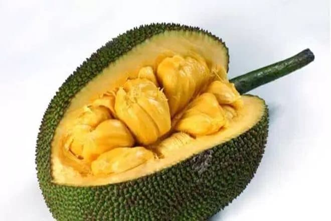 kerala first International Jackfruit Festival, International Jackfruit Festival , Wayanad, Jackfruit festival, 'Chakka sadhya, jackfruit cultivation, jackfruit chips, varities of jackfruit