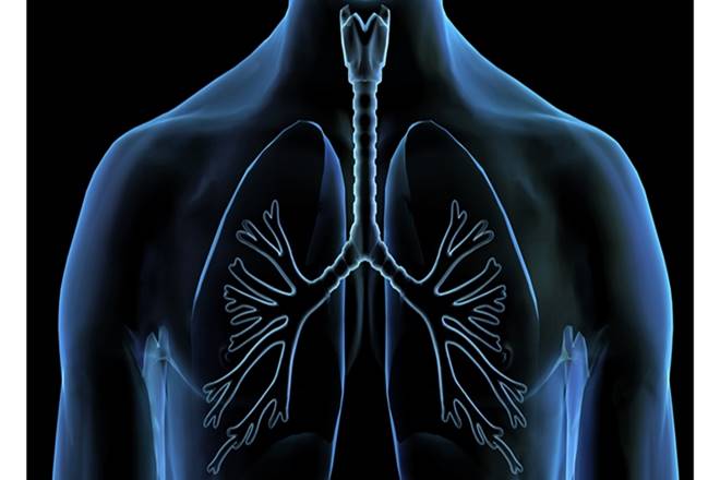 Brain Dead, Pune, Chennai, Mumbai, Lung Transplant, Fortis Hospital, Dr Anvay Mulay