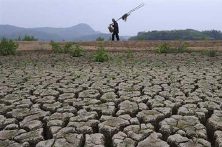 Delhi government, National Green Tribunal, status report on buildings that have installed rain water harvesting systems, rain water harvesting systems, Delhi Development Authority, DDA rainwater harvesting, construct adequate capacity rain water harvesting systems, rainwater harvesting Delhi government, National Green Tribunal, status report on buildings that have installed rain water harvesting systems, rain water harvesting systems, Delhi Development Authority, DDA rainwater harvesting, construct adequate capacity rain water harvesting systems, rainwater harvesting