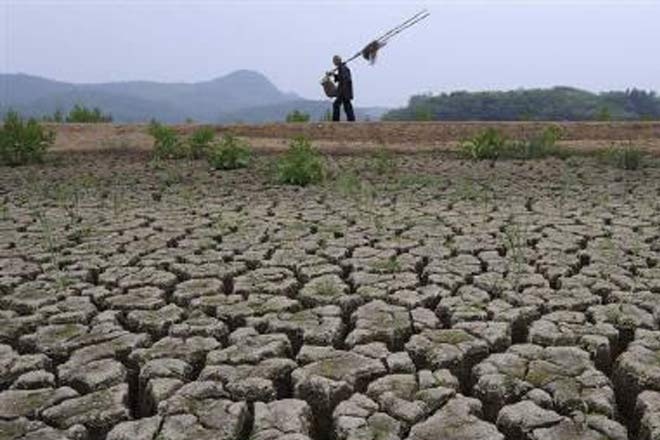 Delhi government, National Green Tribunal, status report on buildings that have installed rain water harvesting systems, rain water harvesting systems, Delhi Development Authority, DDA rainwater harvesting, construct adequate capacity rain water harvesting systems, rainwater harvesting