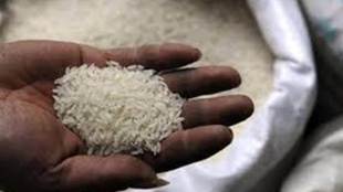 rice, India, Bangladesh