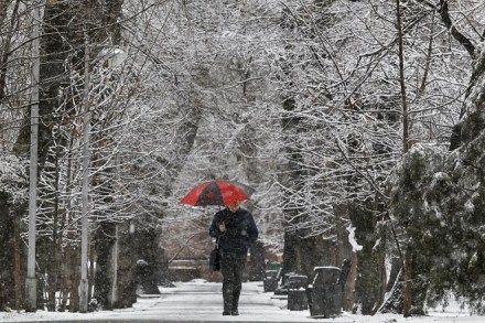 Ever made money on betting on snowfall, hurricane or rains? Here’s how to do it Ever made money on betting on snowfall, hurricane or rains? Here’s how to do it