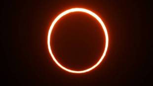 Bored Traders, Solar Eclipse, Politcal Drama, Obscure theory, Eclipse Phenomenon