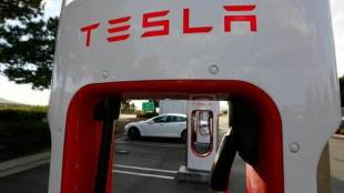 Tesla, tesla employees, tesla employess fired, tesla engineers, tesla manager, tesla factory 