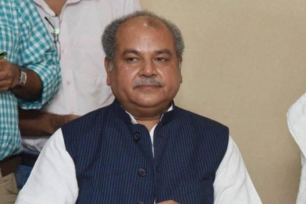 Narendra Singh Tomar, Union minister Narendra Singh Tomar, BJP Madhya Pradesh, Assembly polls Madhya Pradesh, 2019 general election Narendra Singh Tomar, Union minister Narendra Singh Tomar, BJP Madhya Pradesh, Assembly polls Madhya Pradesh, 2019 general election