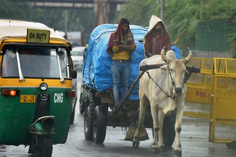 rains in delhi, delhi rain, heavy rain, heavy downpour, delhi monsoon, delhi, delhi latest news, delhi pics, delhi temperature, delhi cloudy