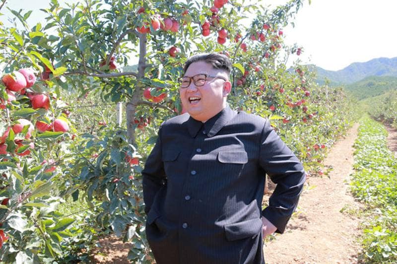 North Korean, Kim Jong Un, US, US President Donald Trump, donald trump, missile, hydrogen bomb, america, kim calls trump deranged, trump angry, kim angry, kim insulted, kim threaten, latest north korea news, latest news, world news