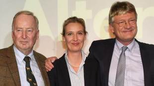 Alice Weidel, German Elections 2017, germany elections, AfD, germany, world news