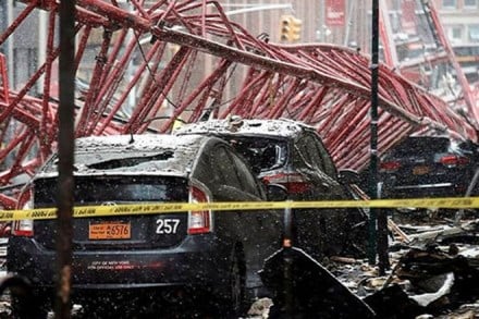 Cranes, Irma, Hurricane Irma, giant cranes in Miami, cranes in Miami, Florida city, storm in Florida city, disaster of Hurricane Irma