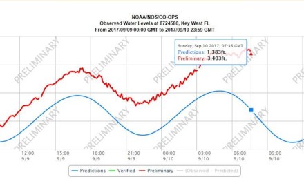 Swiss President Doris Leuthard has said India is expected to get in 2019 the first batch of data relating to tax from Switzerland under a new framework for automatic exchange of information. Swiss President Doris Leuthard has said India is expected to get in 2019 the first batch of data relating to tax from Switzerland under a new framework for automatic exchange of information.