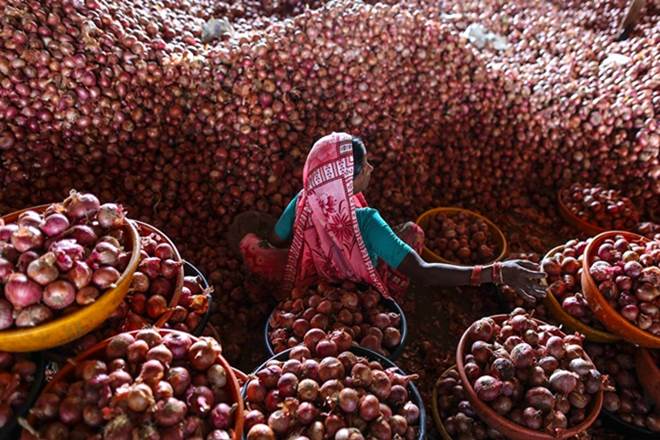 Nasik mandis, Nasik mandis shut, onion, onion price, fall in onion prices, sudden fall in onion prices, wholesale mandis, Nasik, Nasik market, onion market