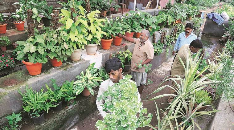 Paul walker, paul walker birthday, paul walker dead, paul walker fast & furious, Paul walker age, paul walker cars, paul walker death, paul walker accident, 1994 Toyota Supra, 1998 Nissan Skyline GT-R, 1995 Mitsubishi Eclipse, 1970 Ford Escort RS1600, 2013 Subaru WRX STI, auto news