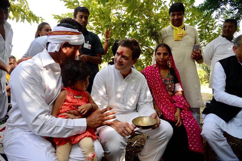 rahul gandhi gujarat visit, rahul gandhi in gujarat, rahul gandhi bullock ride, rahul gamdhi bullock cart ride, rahul gandhi rides bullock in gujarat, congress in gujarat, congress VP, congress vice president, rahul gandhi latest news, rahul gandhi latest updates, rahul gandhi pics, rahul gandhi photos, rahul gandhi pictures, rahul gandhi latest pictures